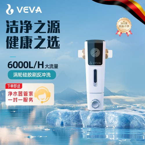veva反冲洗前置过滤器大流量