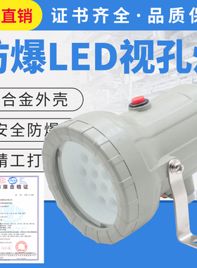 防爆视孔灯5W防爆LED视孔灯10W24v220v36V12V反应釜视镜灯BSD96