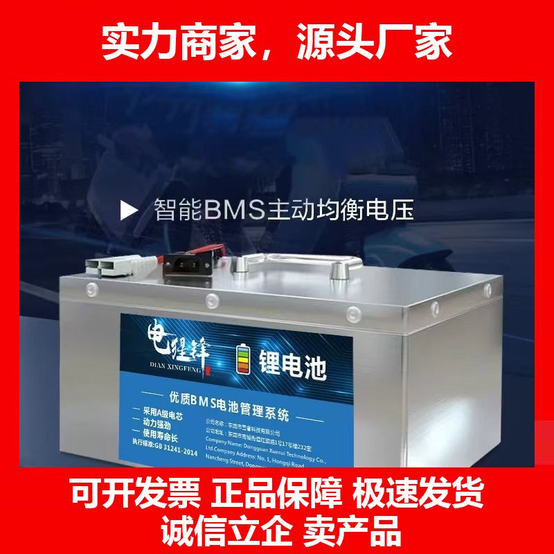 德国十大品牌锂电池60V72V电动三轮四轮车大容量锂电池铁锂电池摆