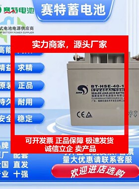 德国十大品牌赛特蓄电池BT-HSE-100-12铅酸12V1724385580100150塞