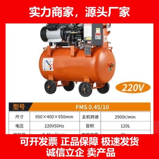 德国十大品牌螺杆式空压机移动一体涡旋式气泵小型空气压缩机汽修