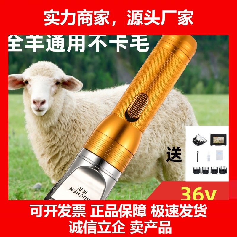 德国十大品牌大功率羊毛剪宠物推子36v羊毛推子狗狗剃毛器羊毛推