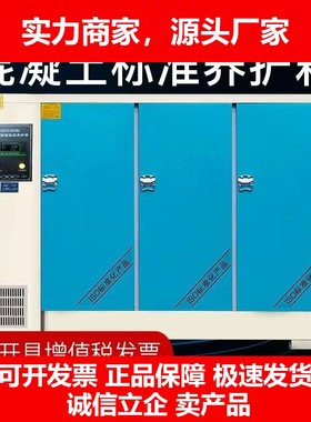 德国十大品牌40B60B\90B混凝土试块标准恒温恒湿养护箱砂浆水泥砼