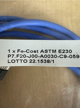 ELSI 热电偶 P7.F20-J00-A0030-C9-0(崽崽配件）