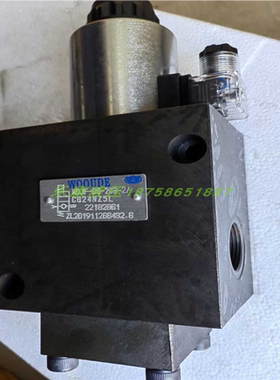 WOOUDE 电磁阀WDJF-DG-20B-2/CW220RNZ5L WDJF-DO-20B/CG24NZ5L