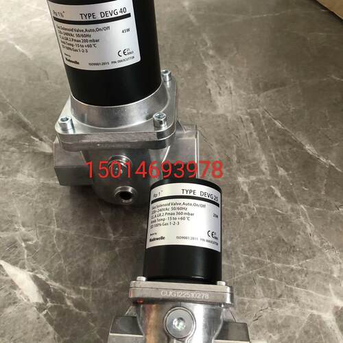 【汇生】DEVG50电磁阀DEVG40  DEVG32  DEVG2【议价】
