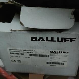 D02 R12 100 询价 813 巴鲁夫BNS