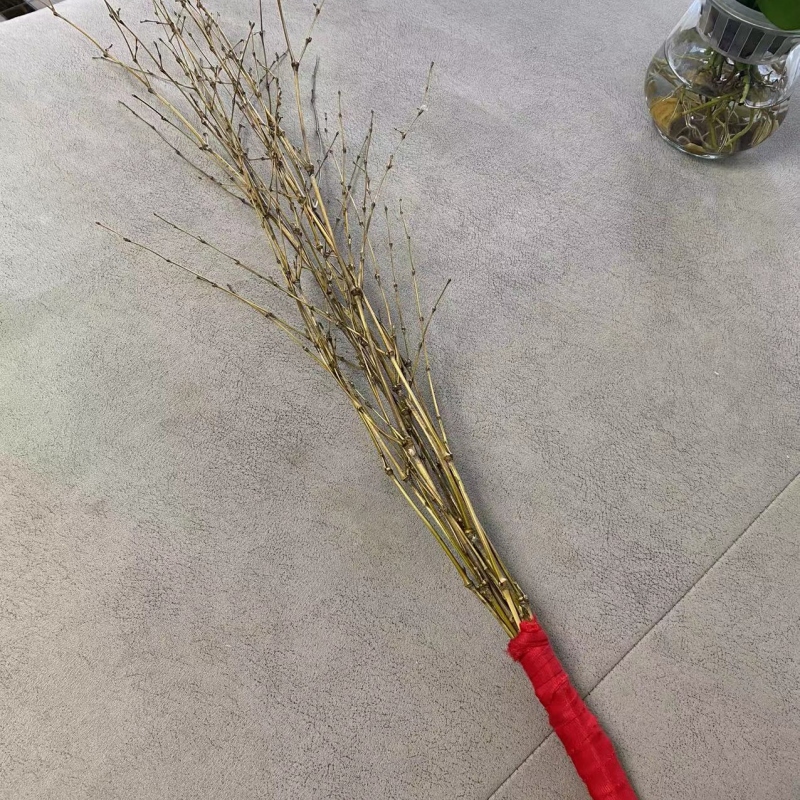 竹器家用竹藤条棍软竹条细竹枝教鞭鞭子细枝条竹子毛竹戒尺竹鞭软