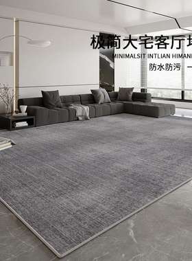 地毯客厅2024新款高级感灰色轻奢免洗可擦防水卧室床边耐脏易打理
