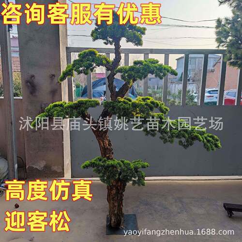 仿真松树大型室内外装饰造景假树罗汉松仿真迎客松仿真罗汉松