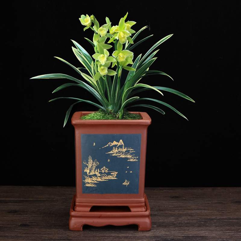 紫砂花盆 手工刻绘四方带底座蝴蝶兰君子兰花卉绿植阳台摆件