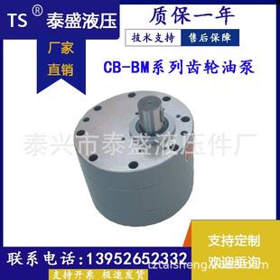 M100 160 川润股份有限公司CB 350 M80 M250 M400齿轮油泵 BM16