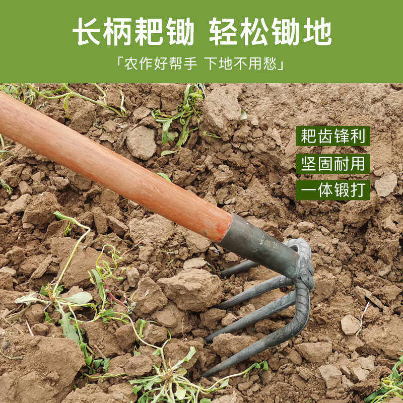 两齿三齿钢耙菜园钉耙农用工具大全松土抓钩翻地搂草耙子四齿锄头,农机/农具/农膜,耙子,淘宝优惠券,粉丝福利购,淘宝优惠卷