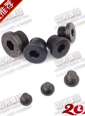 中碳钢 英/美制内六角油塞 JB1001-77内六角螺塞油堵法兰面螺塞