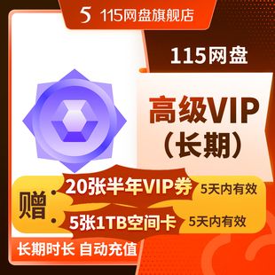 自动充值 长期 专享提速通道 年费VIP高级版 115网盘