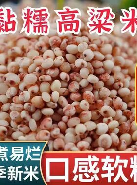 东北黏糯高粱米5斤新米红粘高粱仁包粽子粘糕汤圆豆包杂粮粥