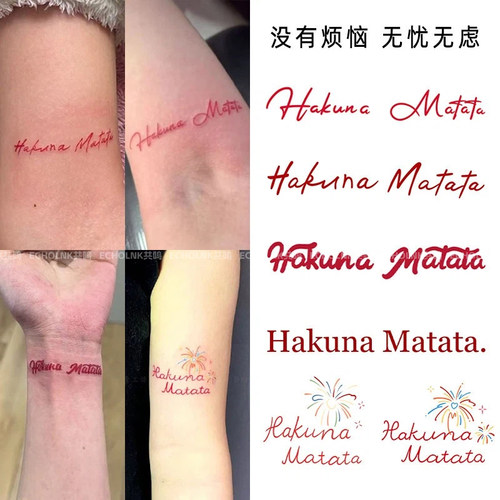 高级感HakunaMatata彩色纹身贴