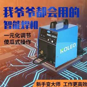 科雷奥无气二保焊机一体机220V小型家用自保二氧化碳气保焊机两用