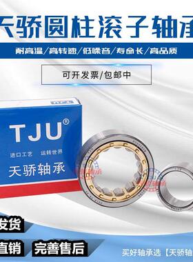 TJZ轴承N NU NJ204 205 206 207 208 209 210 211 212 213 EM