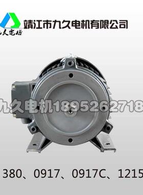 苏州黑猫清洗机380、0917、0917C、1215靖江九久YX3-100L2-4高效