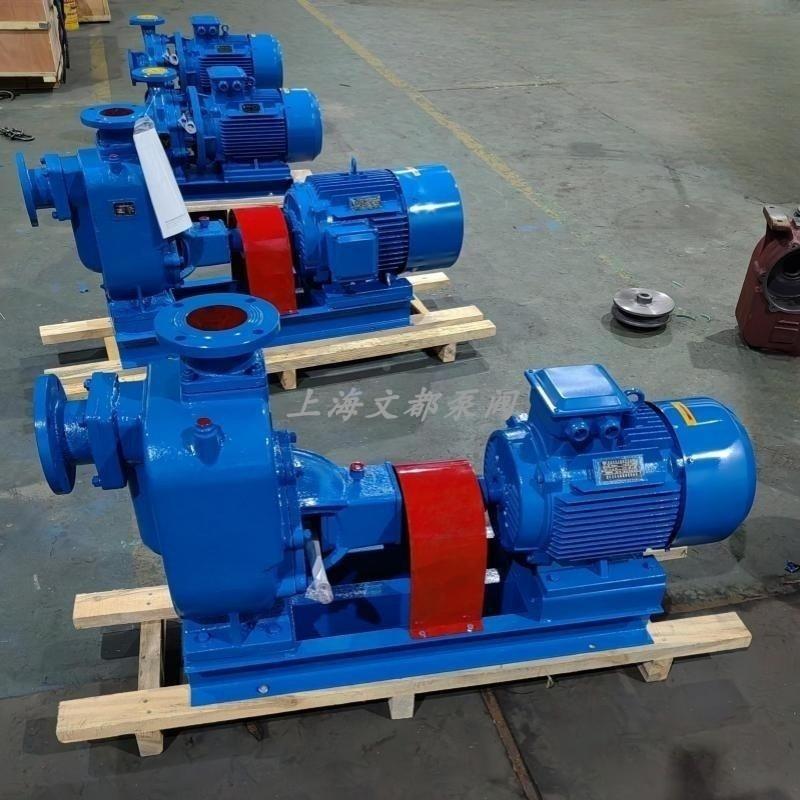 50ZW10-20-2.2型无堵塞自吸式排污泵铸铁化粪池不锈钢电动污水泵