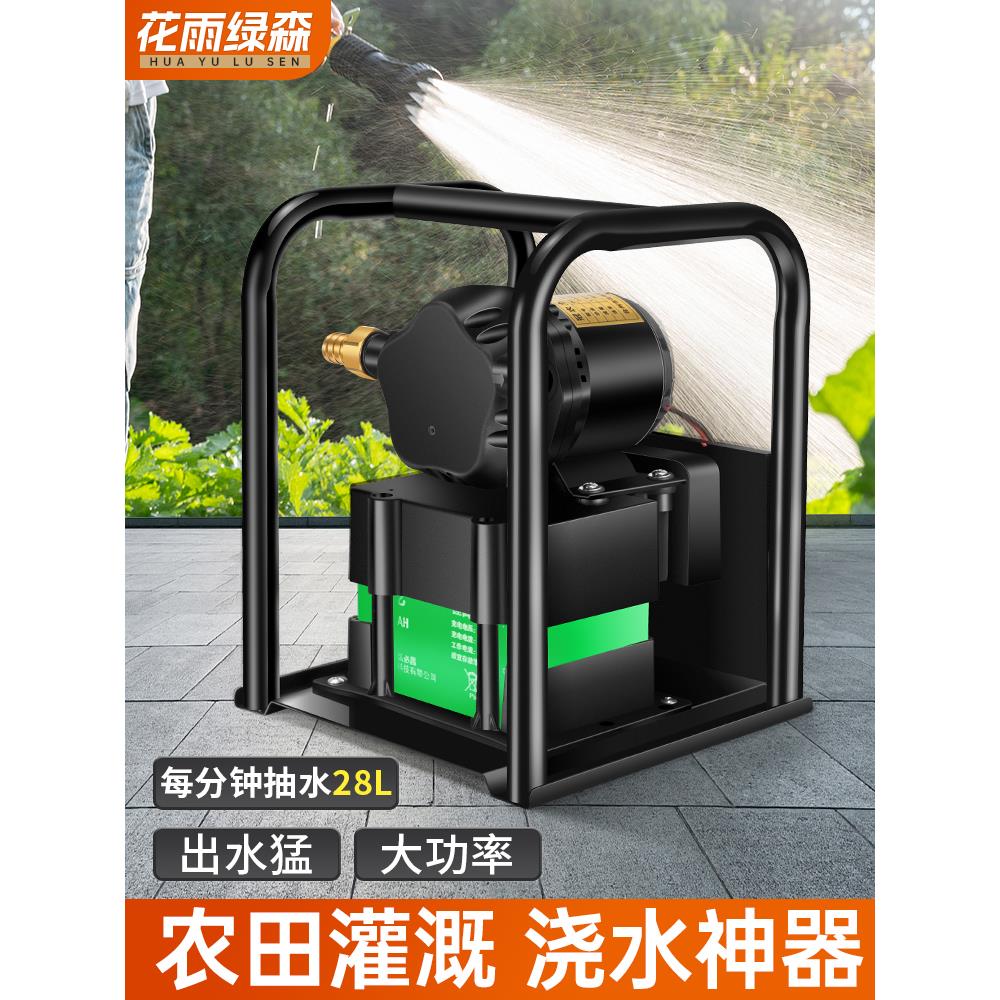 抽水泵浇菜充电式浇菜神器浇水机抽水机农用浇地灌溉家用菜地田地