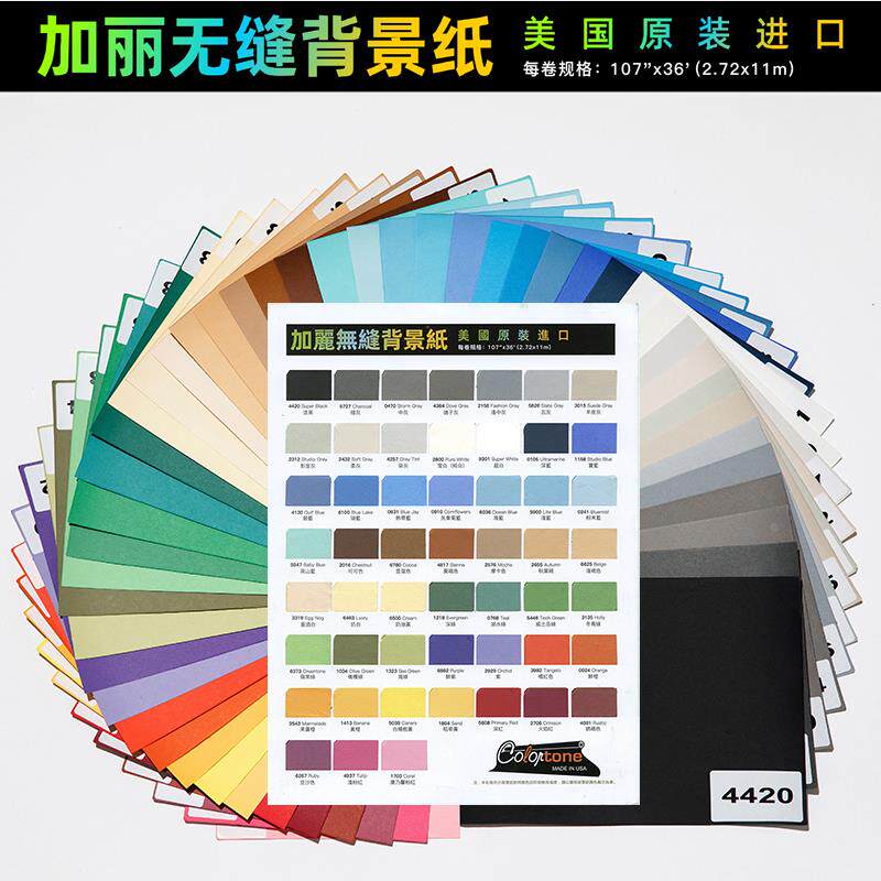加丽拍照背景纸摄影背景布纯色影楼拍摄背景白色照相婚纱影棚道具