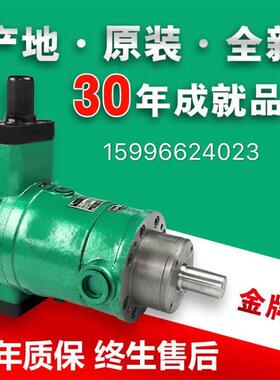 10YCY 25YCY 40YCY 63YCY80YCY14-1b 100YCY 160YCY 250YCY柱塞泵