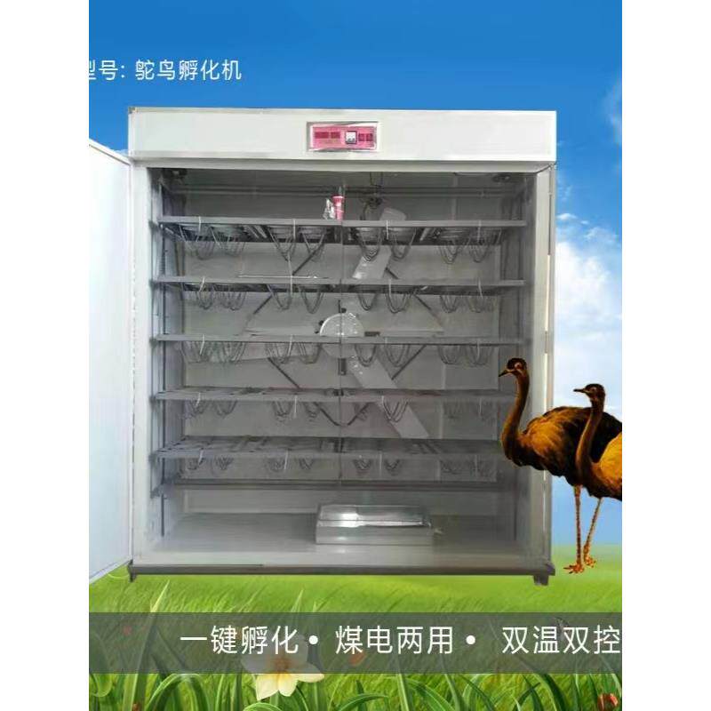 孵化机全自动鸵鸟蛋孵化器鸸鹋孵化箱澳洲鸵鸟孵化设备智能孵蛋器