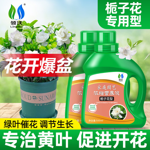 速发营养液栀子花肥料专用肥盆栽植物绿叶促花通用型水用家培酸性