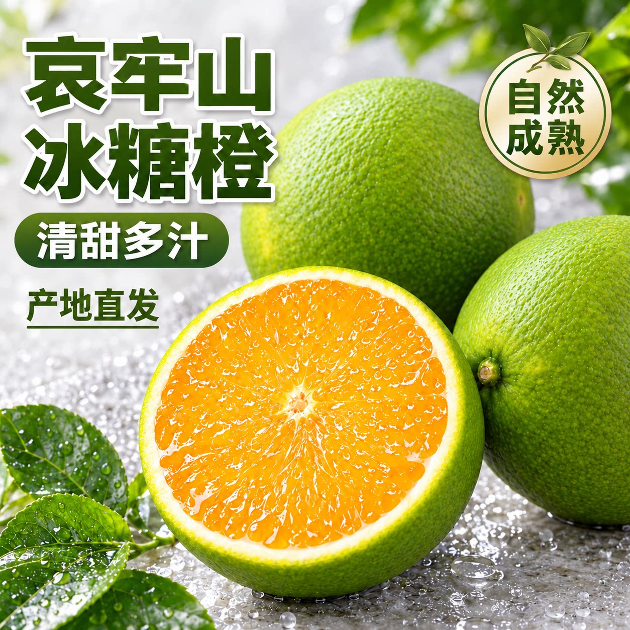 正宗云南冰糖橙新鲜手剥橙