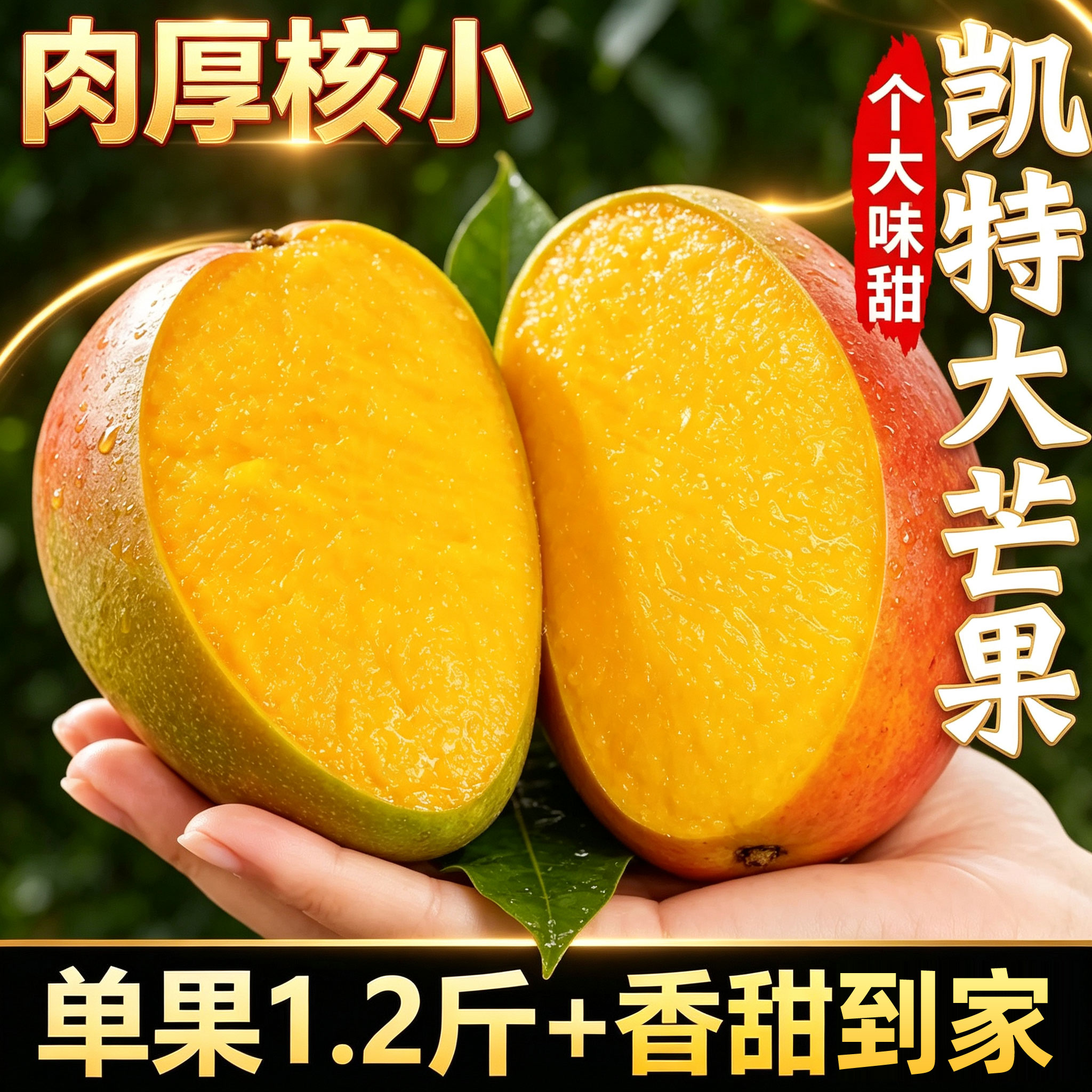 攀枝花凯特芒果澳芒青