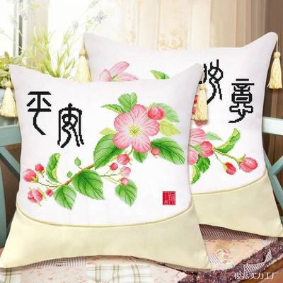 抱ptB8d6ja枕十字新绣一对侣手工自己绣客厅室卧枕头套线情绣款小