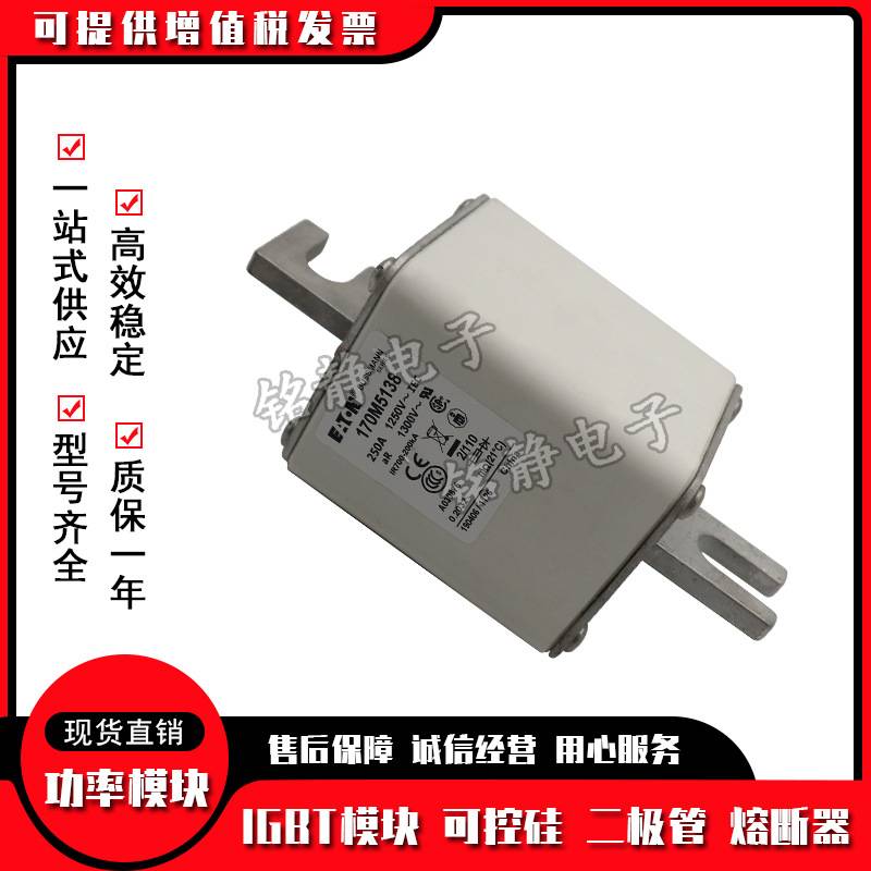 170M5188 170M5189 170M5190巴斯曼170M5191熔断器现货型号齐全