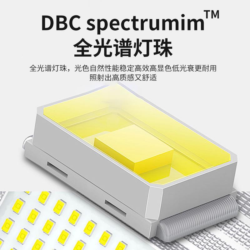 国AA级光夹台子灯学生书桌可调节全高度防眩目书OLY-夹子桌普无影