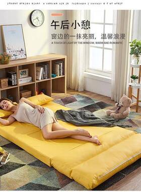 济经济小户型单小简约人沙发床经型户型榻榻米NVD懒人户多功能两