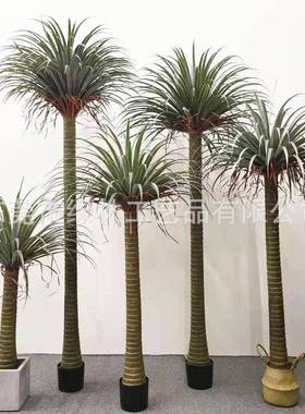 仿千真龙葵树带雨林假植物室外园热造景装饰龙血树年木92838林绿