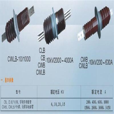 CWWB-10/630CWWB-110/000穿瓷套墙管厂95751家直供