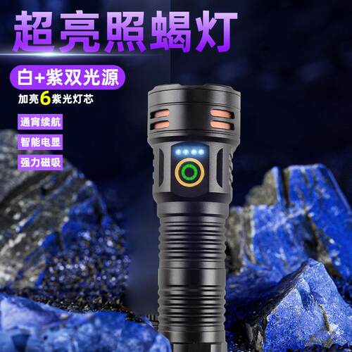 蝎6紫光DY-13+1白光双光超亮大功率长灯续航源充电子抓蝎子专用手