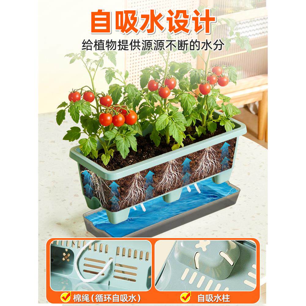 台种菜盆室外长菜方形懒人自阳吸用水专家自动吸水用特大号长条蔬