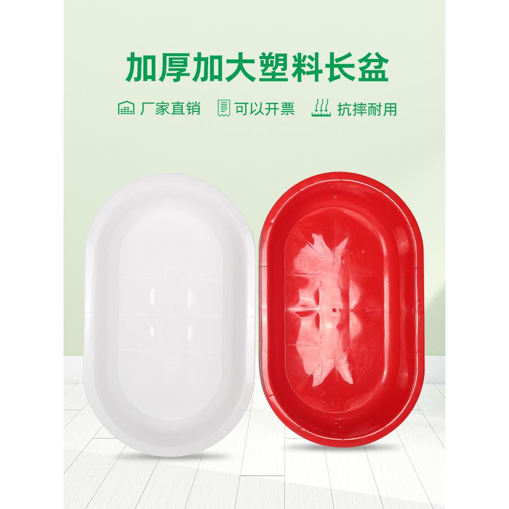 洗澡盆人家用大儿童盆椭圆加厚水产号养殖Myp熟料养宠物鱼卖虾大
