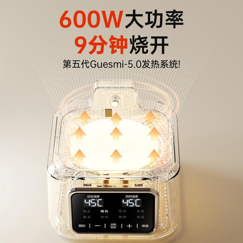 玻全璃养生壶煮一体煮小型办公室炖恒温烧水69767642壶家用花茶茶