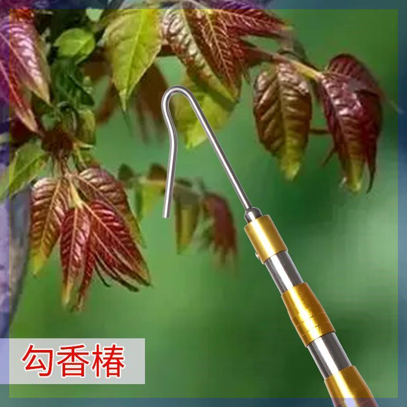 香椿钩槐花钩不j锈钢伸缩香椿杆镰刀杆摘香椿神器伸缩摘果工具配