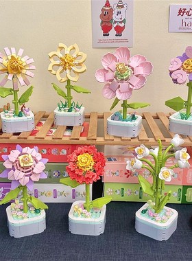 速发多肉花汽摆车件居家装饰花辈咖啡店少心老师长店桌面办公室