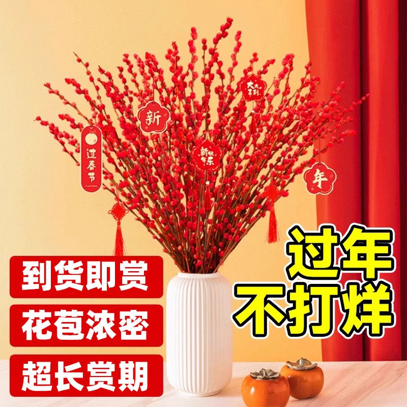 速发银柳真花鲜枝抱抱福桶喜庆年宵花卉盆栽室内红色干花水培植物