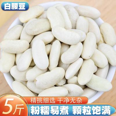 白腰豆5斤新货 云南农家小白豆白芸豆云豆炖菜煲汤豆类五谷杂粮