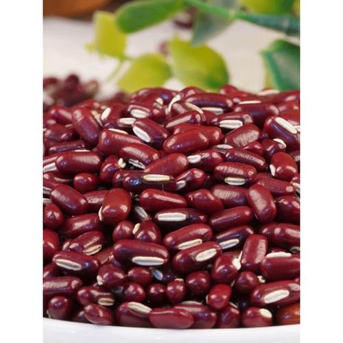 新货赤小豆5斤长粒红豆赤豆搭薏仁米茶煮粥农家五谷杂粮袋装