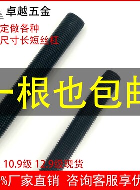 速发8.8级反牙丝杆反丝反扣细牙螺1全螺纹丝MM杆0杠12M16M20M24M0