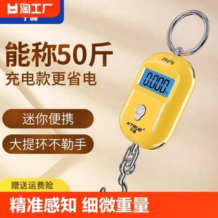 速发精准迷你弹提电子秤高精度家行小型便携式吊秤手簧秤钩称用李
