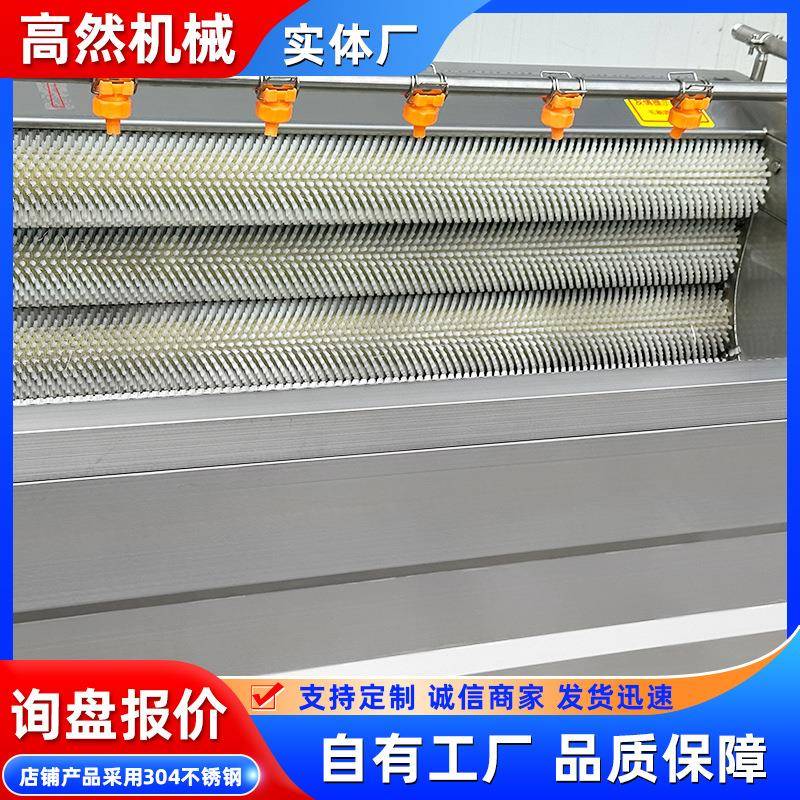 DMP厂家常年零售毛刷红备薯洗机产品清清洗设不锈海钢材质